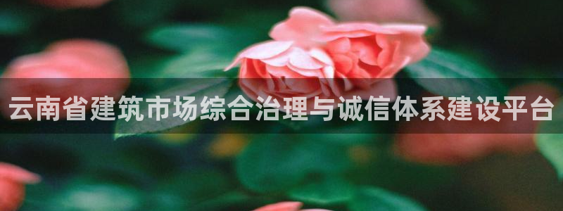 乐发平台是正规的吗