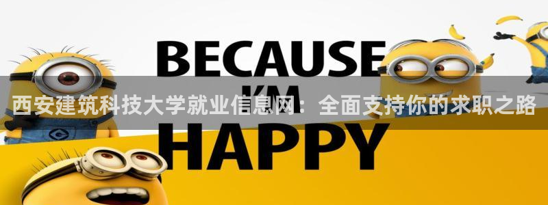 名发乐彩IV平台怎么样