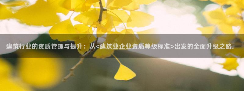 乐发平台注册流程图