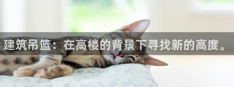 乐发平台邀请码是多少啊