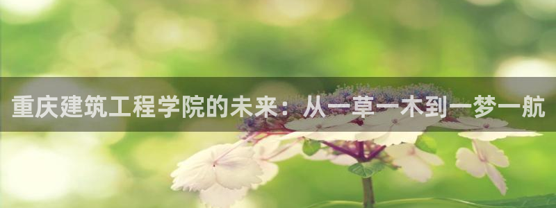 乐发平台怎么样知乎