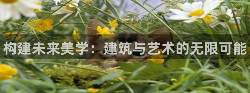 乐发彩票平台app下载