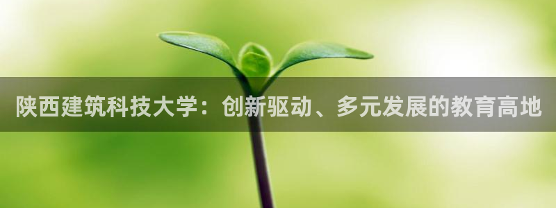 彩票乐发III购彩平台