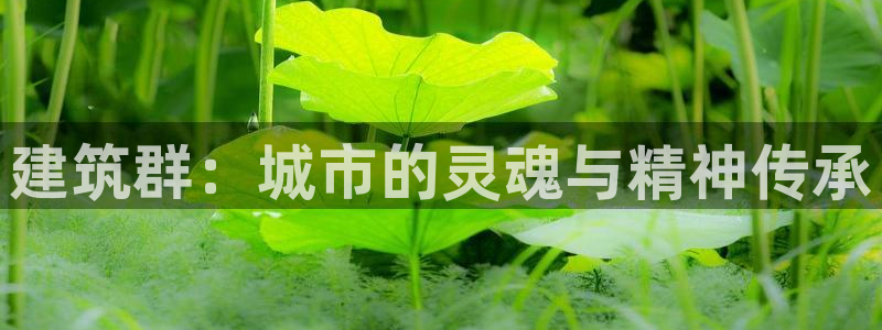 众乐发圈平台：建筑群：城市的灵魂与精神传承