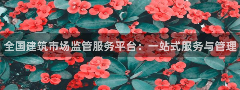 乐发体育平台官网：全国建筑市场监管服务平台：一站式服务与管理