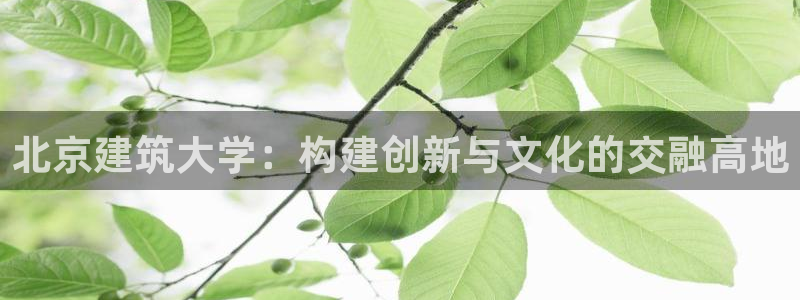 乐发传媒是什么平台：北京建筑大学：构建创新与文化的交融高地