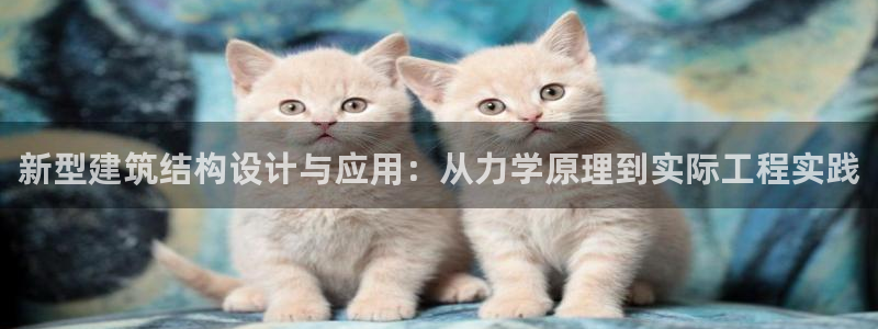 乐发III平台怎么样：新型建筑结构设计与应用：从力学原理到实际工程实践