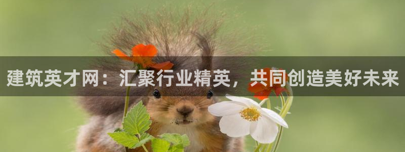 乐发平台注册地址是哪里