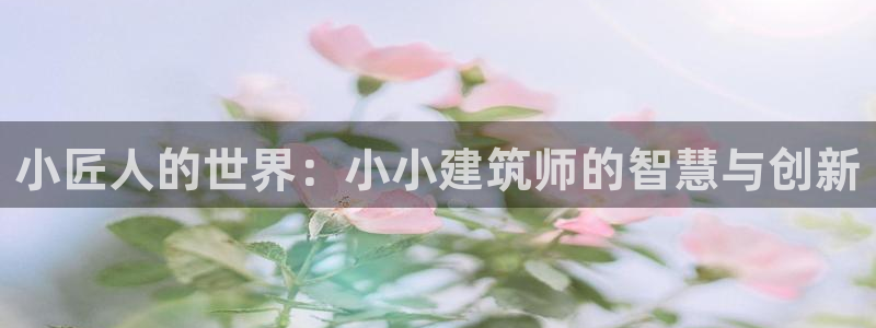 乐发vll平台靠谱嘛：小匠人的世界：小小建筑师的智慧与创新
