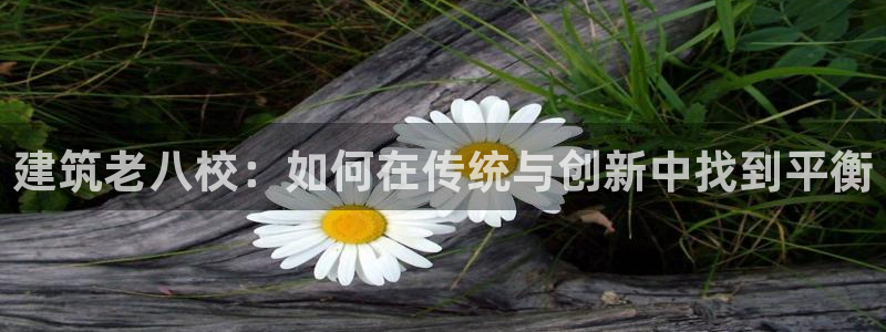 乐豪发官方娱乐平台