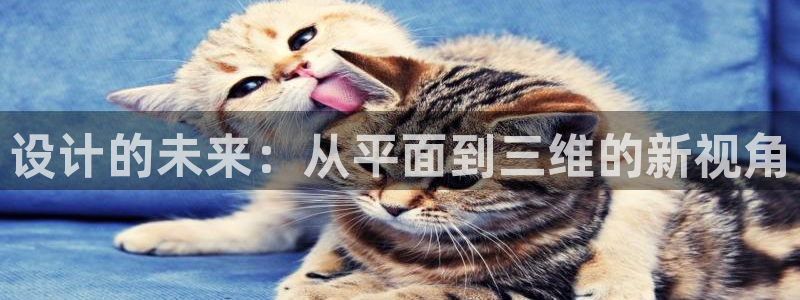 兼职乐系列发圈平台：设计的未来：从平面到三维的新视角