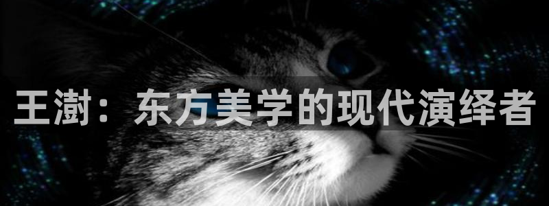乐总105发卡平台：王澍：东方美学的现代演绎者