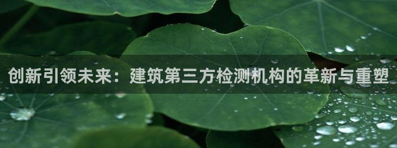 乐发平台注册地址在哪里：创新引领未来：建筑第三方检测机构的革新与重塑