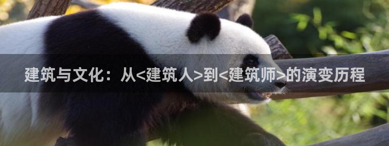 1分快三赚钱平台乐发：建筑与文化：从<建筑人>到<建筑师>的演变历程