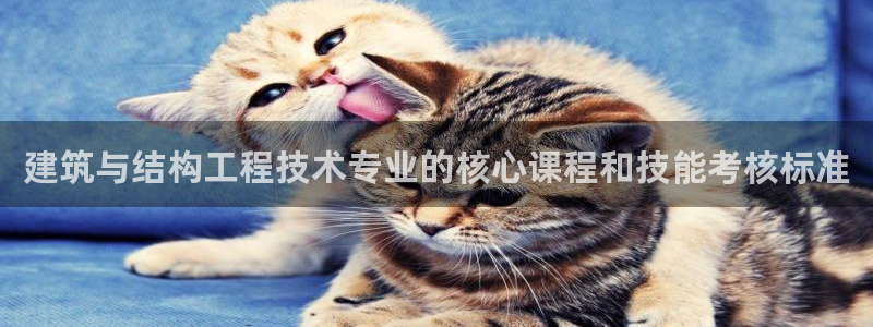 乐发平台是什么样的：建筑与结构工程技术专业的核心课程和技能考核标准