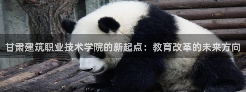 必发误乐黑平台