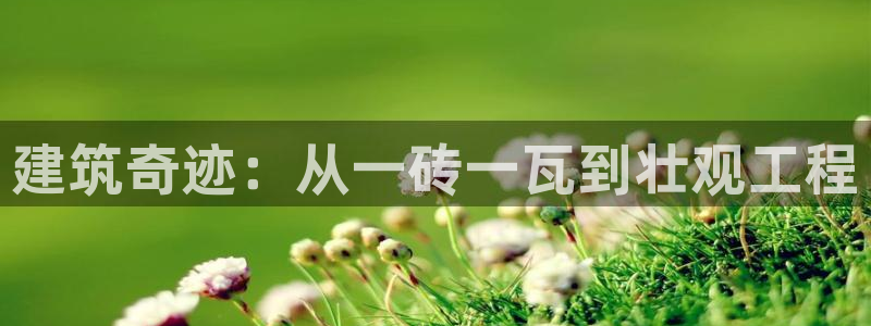 乐发平台xl