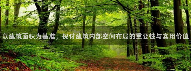 乐发大小平台
