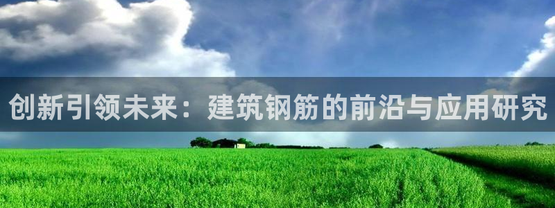 乐豪发游戏平台：创新引领未来：建筑钢筋的前沿与应用研究
