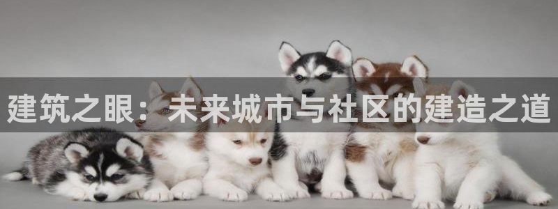 乐豪发是黑平台吗：建筑之眼：未来城市与社区的建造之道