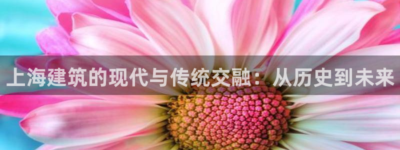 宾果彩票平台乐发：上海建筑的现代与传统交融：从历史到未来