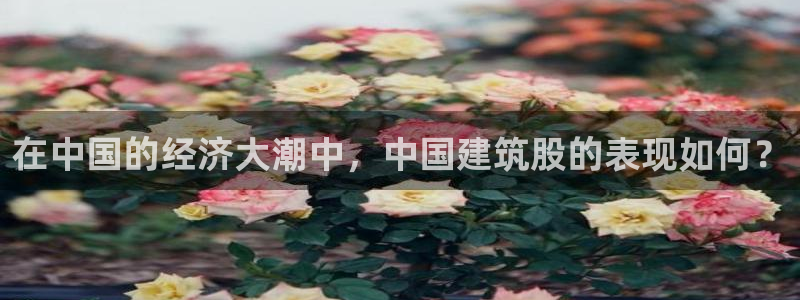 乐发彩票平台网址是什么：在中国的经济大潮中，中国建筑股的表现如何？