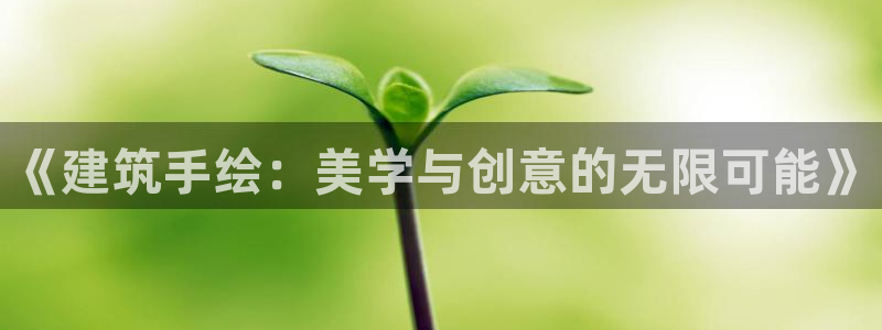 乐豪发真人平台：《建筑手绘：美学与创意的无限可能》