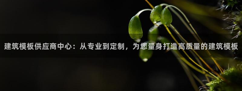 乐发茶楼团购平台官网：建筑模板供应商中心：从专业到定制，为您量身打造高质量的建筑模板