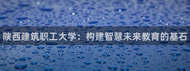 乐发快3平台推荐：陕西建筑职工大学：构建智慧未来教育的基石