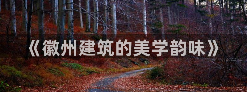 乐发彩票平台黑吗：《徽州建筑的美学韵味》