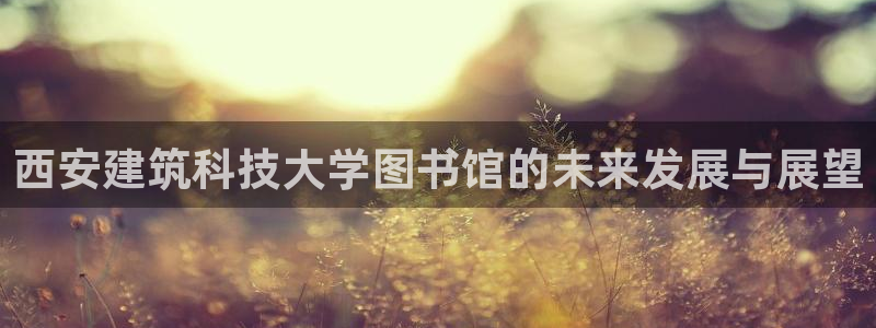 乐发娱乐平台：西安建筑科技大学图书馆的未来发展与展望