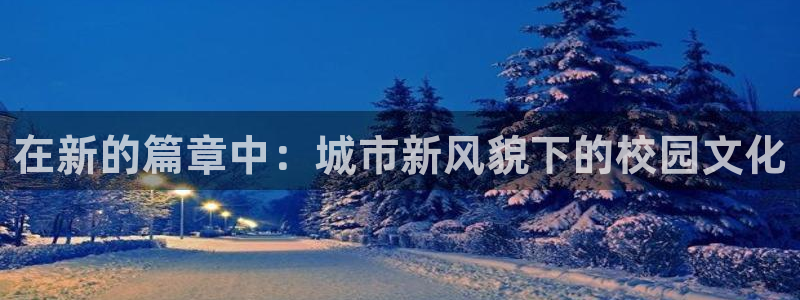 乐发体育平台官网下载：在新的篇章中：城市新风貌下的校园文化