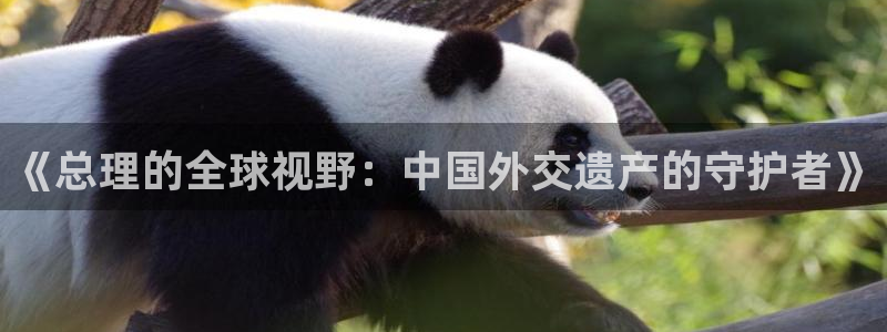 乐发平台怎么换邀请码：《总理的全球视野：中国外交遗产的守护者》