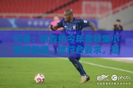 记者：阿森纳今年曾收集小蜘蛛数据，他符合要求，塔帅也想要他