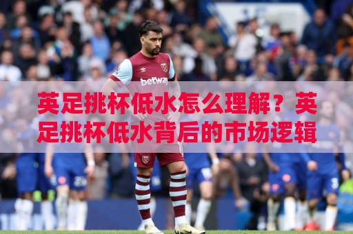 英足挑杯低水怎么理解？英足挑杯低水背后的市场逻辑与实战思路【英足挑杯低水】⚽最全手机信誉让球站低调看冠军走盘单双盘独赢波胆盘