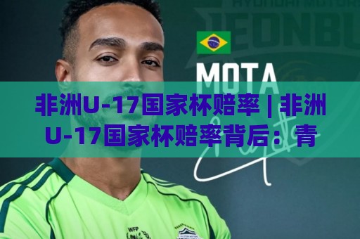 非洲U-17国家杯赔率 | 非洲U-17国家杯赔率背后：青训黑马与数据逻辑的碰撞【非洲U-17国家杯赔率】⚽最全手机信誉押球网水位精彩片段流畅代理1080P官网