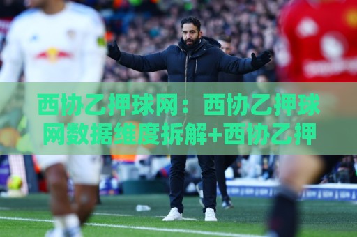 西协乙押球网：西协乙押球网数据维度拆解+西协乙押球网赛前情报怎么用？⚽最大权威网页进球网分析走地大全早盘文字中文解说