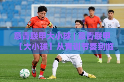 意青联甲大小球 | 意青联甲【大小球】从青训节奏到临场变盘的深层逻辑⚽最全手机信誉投球网代理1080P官网无插件低调看冠军