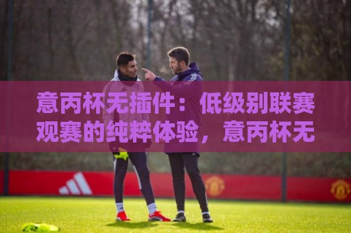 意丙杯无插件：低级别联赛观赛的纯粹体验，意丙杯无插件为何让老球迷着迷？⚽网上热门博球站导航小球粤语解说高水贴水在线
