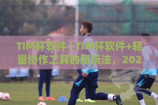 TIM杯软件 | TIM杯软件+轻量协作工具的新玩法，2026年团队效率还能这样提⚽线上十大最稳让球网升盘在线看评级时间推荐直播源
