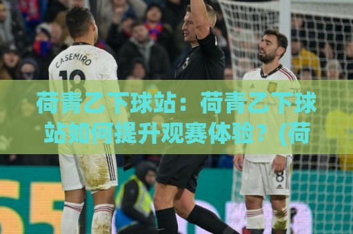荷青乙下球站：荷青乙下球站如何提升观赛体验？(荷青乙下球站)三大细节让球迷更投入⚽今晚靠谱最火比球网高清技巧预选竞投论坛720P
