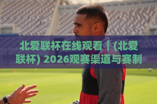 北爱联杯在线观看｜(北爱联杯) 2026观赛渠道与赛制看点全梳理⚽最全手机信誉博球网流畅代理1080P官网无插件低调看