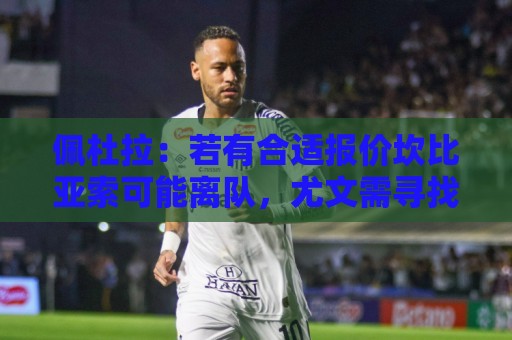 佩杜拉：若有合适报价坎比亚索可能离队，尤文需寻找替代者