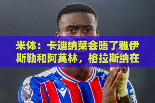 米体：卡迪纳莱会晤了雅伊斯勒和阿莫林，格拉斯纳在等米兰消息