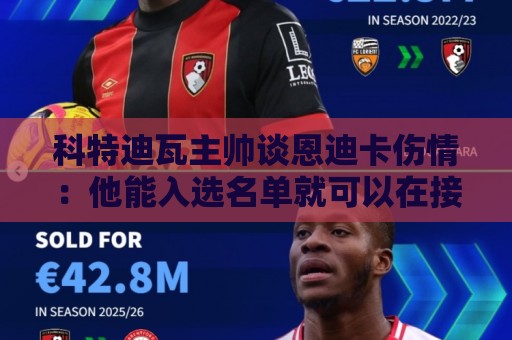 科特迪瓦主帅谈恩迪卡伤情:他能入选名单就可以在接下来出场比赛 科特迪瓦主帅谈恩迪卡伤情:他能入选名单就可以在接下来出场比赛