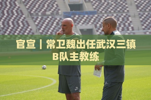 官宣|常卫魏出任武汉三镇B队主教练 官宣|常卫魏出任武汉三镇B队主教练