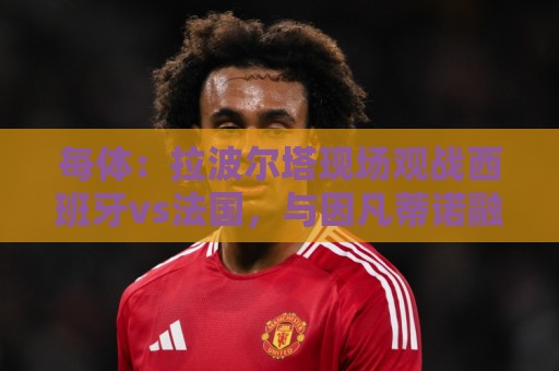 每体:拉波尔塔现场观战西班牙vs法国,与因凡蒂诺融洽交谈 每体:拉波尔塔现场观战西班牙vs法国,与因凡蒂诺融洽交谈