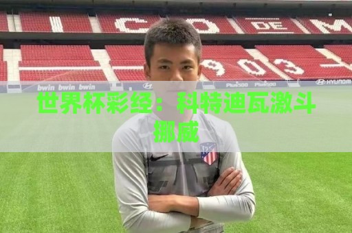 世界杯彩经:科特迪瓦激斗挪威 世界杯彩经:科特迪瓦激斗挪威