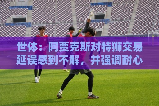 世体:阿贾克斯对特狮交易延误感到不解,并强调耐心并非无限 世体:阿贾克斯对特狮交易延误感到不解,并强调耐心并非无限