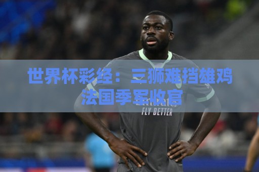 世界杯彩经:三狮难挡雄鸡 法国季军收官 世界杯彩经:三狮难挡雄鸡 法国季军收官